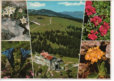Ansichtskarte Raxalpe, Berghotel